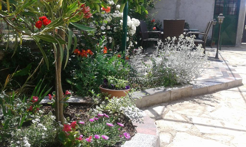 Apartments"Nika" With Private Pool Galovac  Exterior foto